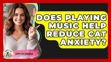 Does Playing Music Help Reduce Cat Anxiety? | Happy Cat Handbook