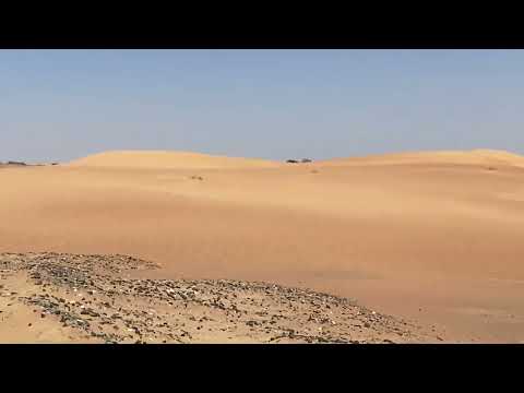 #Dubai | Dubai Desert Conservation Reserve | desert 🏜️ road to Al Maha Resort & Spa.