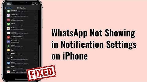 WhatsApp Not Showing in Notification Settings on iPhone in iOS 15.2