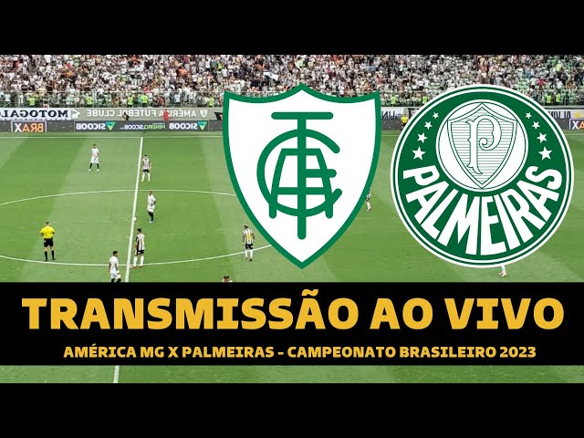 América-MG x Palmeiras hoje: onde assistir ao vivo o jogo do