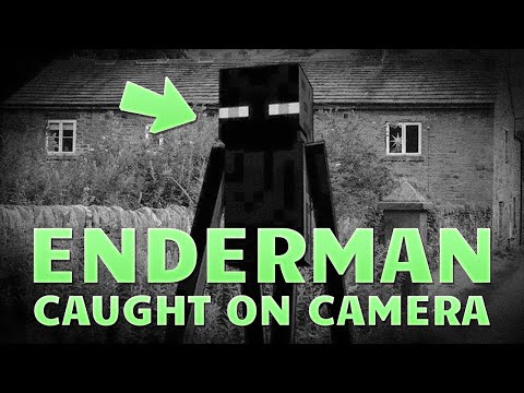 5 Enderman Caught on Camera
