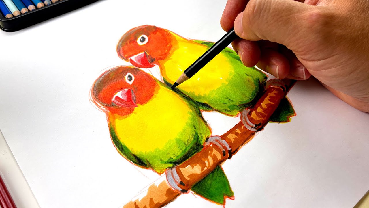 9+ Bird Drawings, Art Ideas