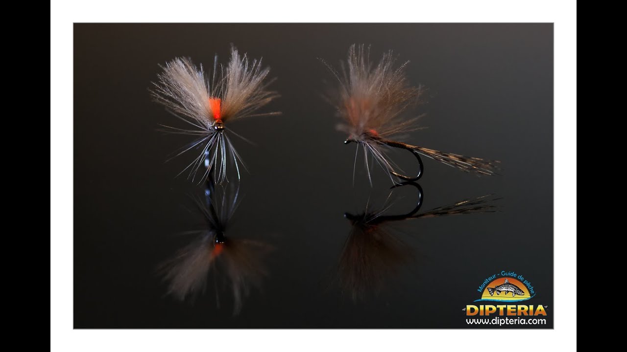 Petite éphémère  par Dipteria - Guide de pêche spécialiste Mouche et Tenkara dans les Pyrénées.