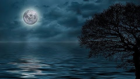(ثلاث أرباع الحزب 41)  سورة الروم الآية 54 إلى 60 ، سورة لقمان الآية 1 إلى 21  ، القارئ لافي العوني