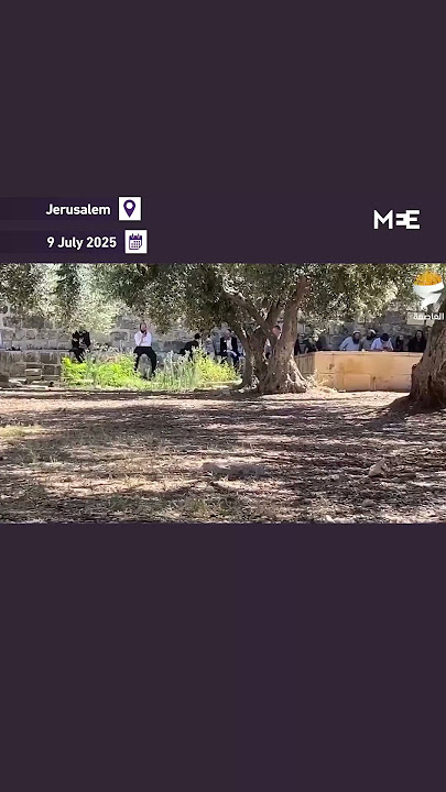 Israeli settlers storm Al-Aqsa Mosque under military protection