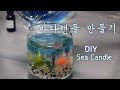 🐠바다캔들 만들기 Under The Sea Candle Making