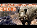 Wild Boar Hunting Shots Record // Chasse record au sanglier - 2023