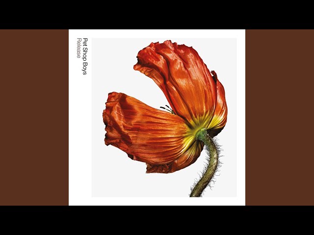 We're the Pet Shop Boys (2017 Remaster) - YouTube