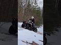 2025 Honda Rubicon 500 Eating Snow Uphill #atv #canada #shenanigans #offroad #snow Mp3 Song