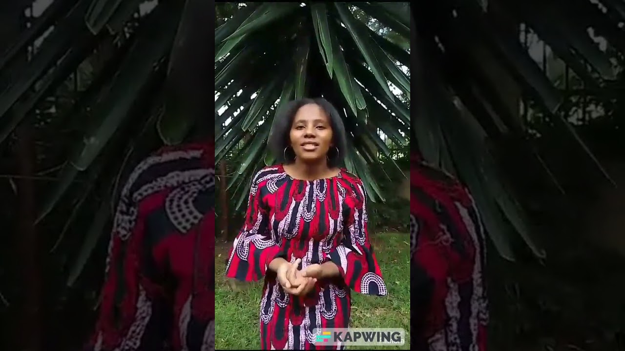 Evolution of Spectacles