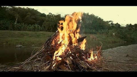 Cola MW - GIVE THANKS  ft. 1 SalaBoss, ChippaRound (Official video).