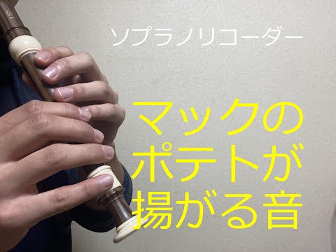 リコーダー マックのポテトが揚がった音 吹いてみた