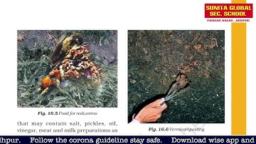 class 6  Science II Chapter 16 Garbage in, Garbage out II  Part-2 II by Pratiksha gehlot