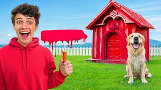 One Colored Dog House Challenge!