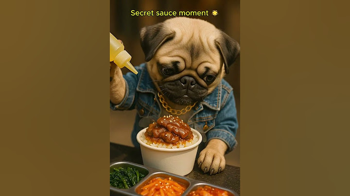 Pug Hipster Membuat Cupbap Bulgogi Terbaik 🌞🛹 | Momen Makanan Jalanan yang Lucu!