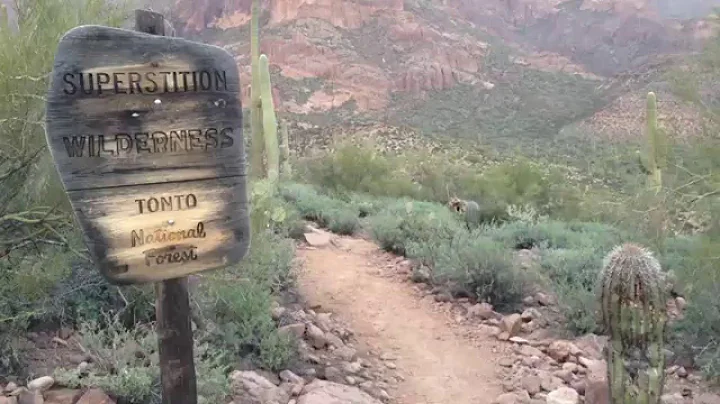 Hieroglyphics Trail and Petroglyphs (Gold Canyon, Superstition Wilderness, Arizona)