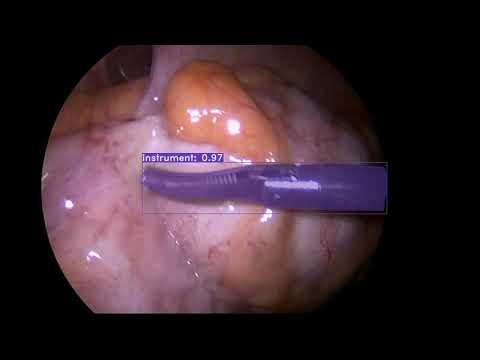 Attention YOLACT++ CBAM-Full real-time video inference