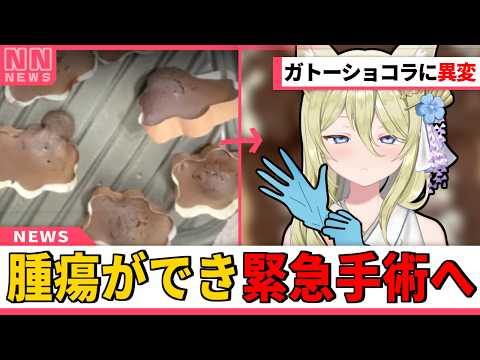 【切り抜き】七宮なこ腫瘍を摘出する