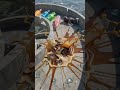Bottles race down ramp explode 202606161821