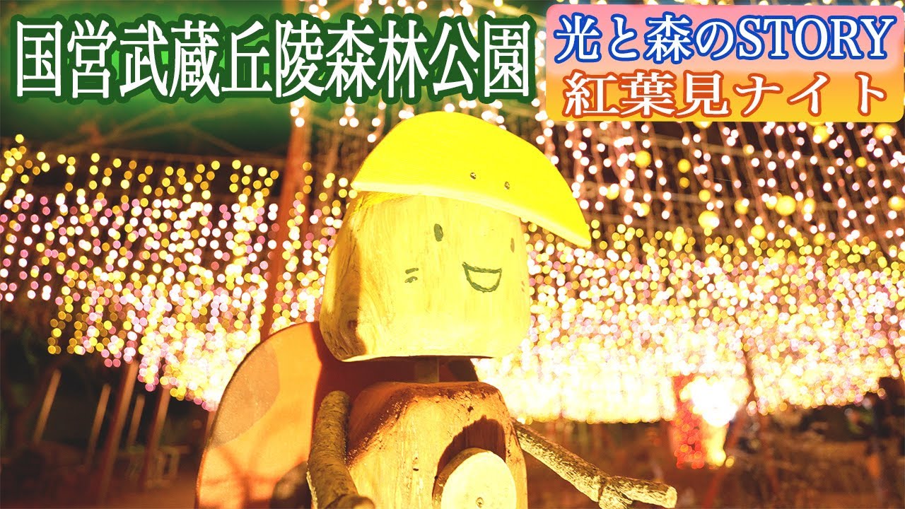 森林公園イルミネーション ライトアップイベント 紅葉見ナイト 光と森のstory Youtube