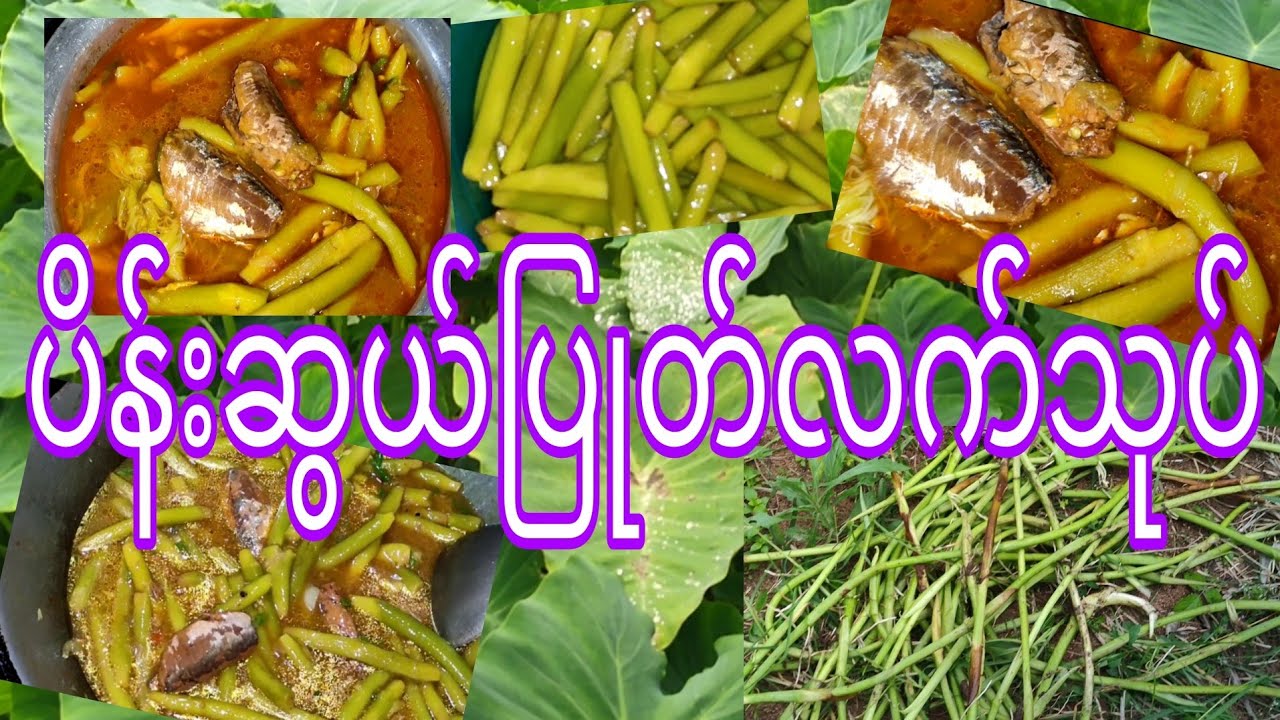 ပိန်းဆွယ်ပြုတ်လက်သုပ်မွှေးမွှေးလေး