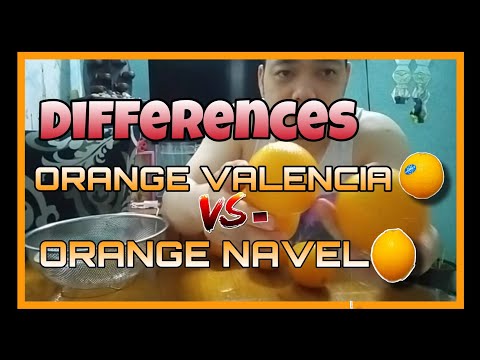 Video: Paano Nakakaapekto Ang Orange Sa Isang Tao?
