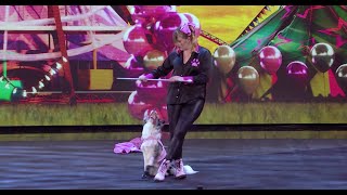 Britain’s Got Talent 2022 Grand Final Amber \u0026 The Dancing Collies Full Performance (S15E14) HD