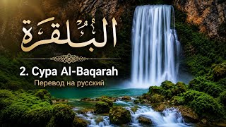 Сура «Аль-Бакара» (Корова) #Коран #АльБакара #СураАльБакара #Ислам #Quran #SurahAlBaqarah