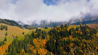 🌈 Captivating Serenity: 4K Scenic Video with Relaxing Music | Relax Now ♪