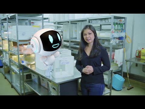 All About Mosquitoes with Dr. Christina Liew! - Argo's World | STEM for Kids and Teens | Science