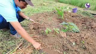 คนไทยหัวใจเกษตร 05 กันยายน 2562 B2