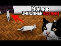 СКУПИЛ ВСЕХ КОТОВ В ГОРОДЕ 😸 Streamer Life Simulator