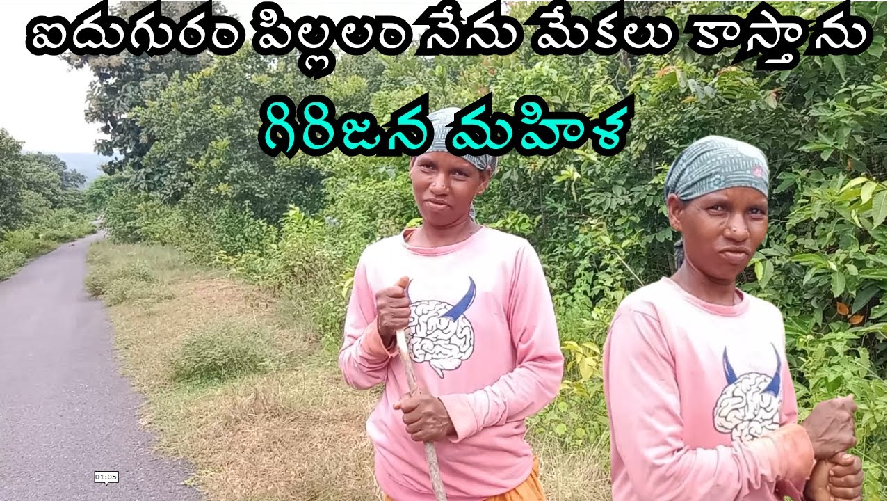 ఐదుగురం పిల్లలం నేను మేకలు కాస్తాను గిరిజన మహిళ || tribal tradition culture  _ tribal culture