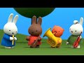 Miffys concert  miffy  miffys adventures big  small  kids shows free