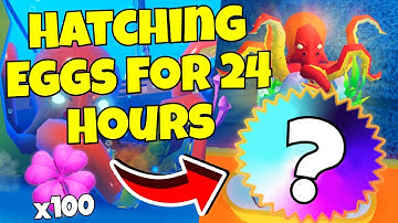 Hatching Eggs For 24 Hours [Weapon Fighting Simulator]