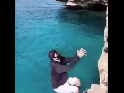Nightmare shark