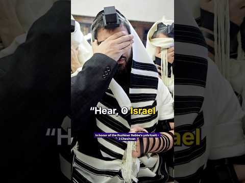 Do We Really Understand the Meaning of Shema Yisrael?