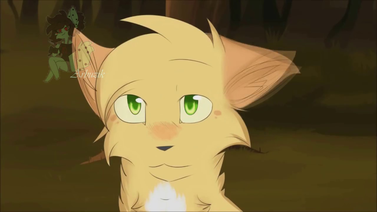 Картинки котов воителей песчаная буря