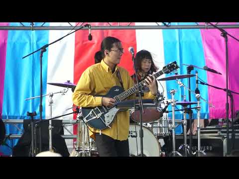 百合花-一枝草