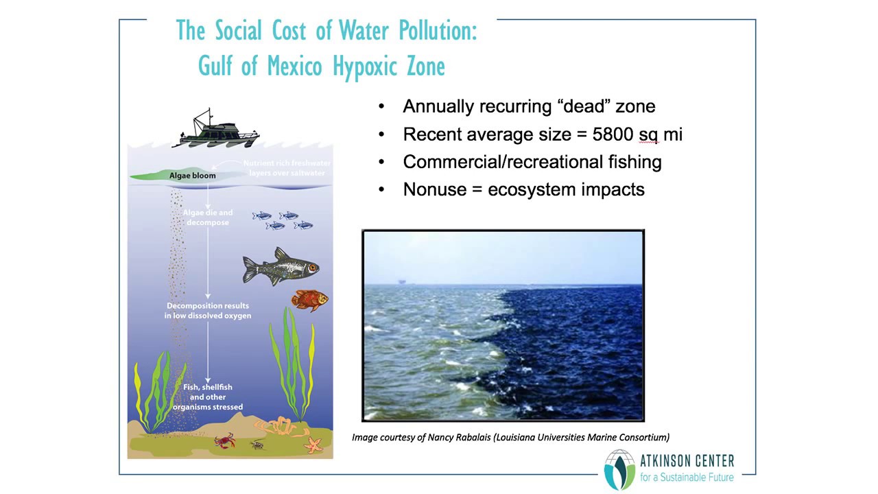 Measuring The Cost Exploring The Impacts Of Water Pollution Youtube
