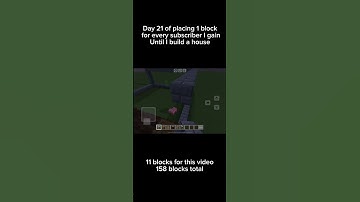 Day 21 of placing one block for every subscriber I gain until I build a house