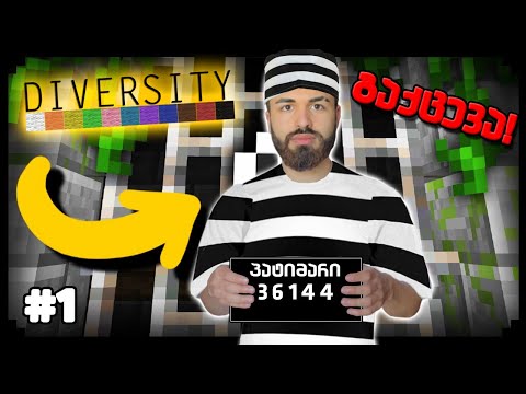დავაღწევთ თავს ამ ადგილიდან?! Minecraft Diversity #1