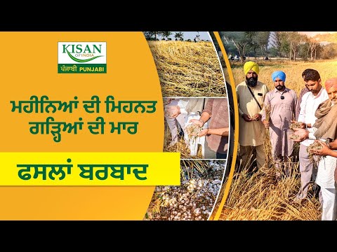 Government ਤੋਂ ਫ਼ਸਲਾਂ ਦੀ ਗਿਰਦਾਵਰੀ ਦੀ ਉਮੀਦ 'ਚ Farmer