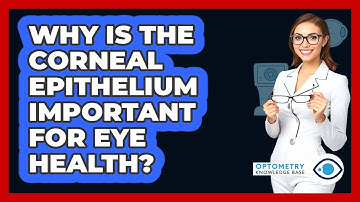 Why Is The Corneal Epithelium Important For Eye Health? - Optometry Knowledge Base