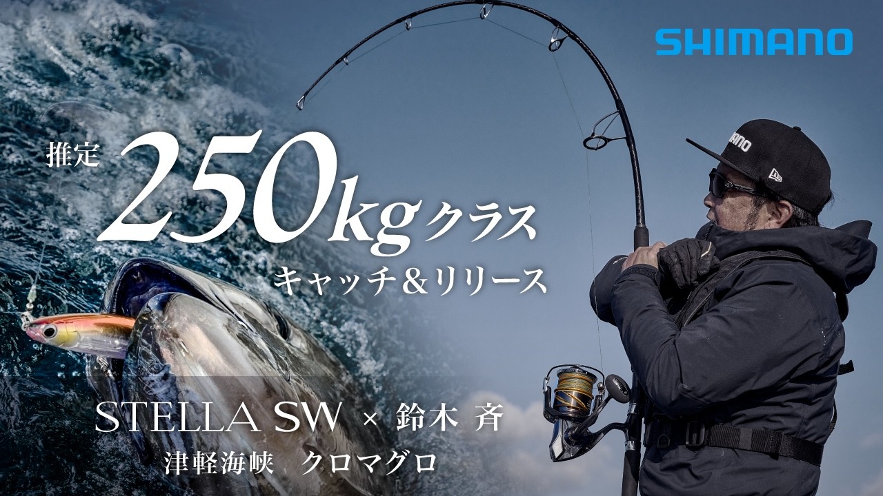 STELLA SW - DOCUMENTARY FILM 【Giant Bluefin Tuna AOMORI JAPAN