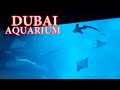 DUBAI AQUARIUM  /  DUBAI MALL / Burj khalifa