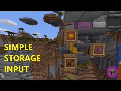 Simple Storage Input