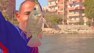 تسالى العصارى وصيد السمك البلطى الغالى