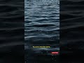 Deep Moonlight Ocean Sleep #shorts #sleep