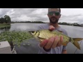 Easy Bass Fishing with Live Bait